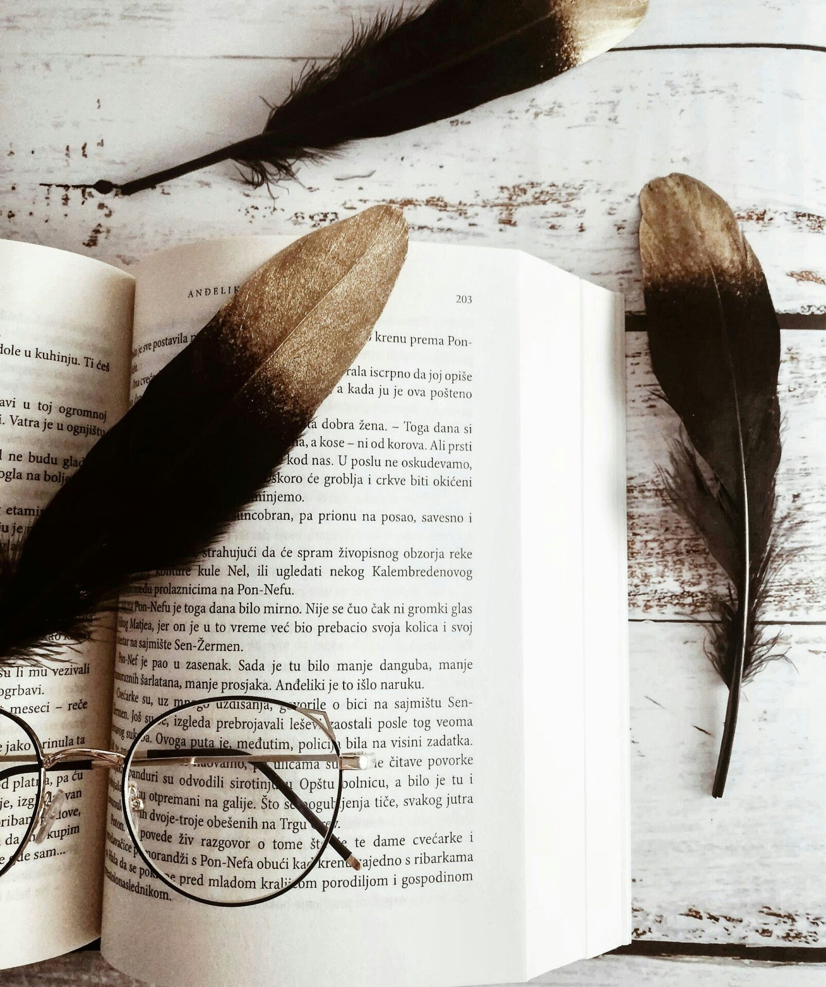 La Plume Qui Lie - Correction Relecture Réécriture - Livre avec plumes et lunettes