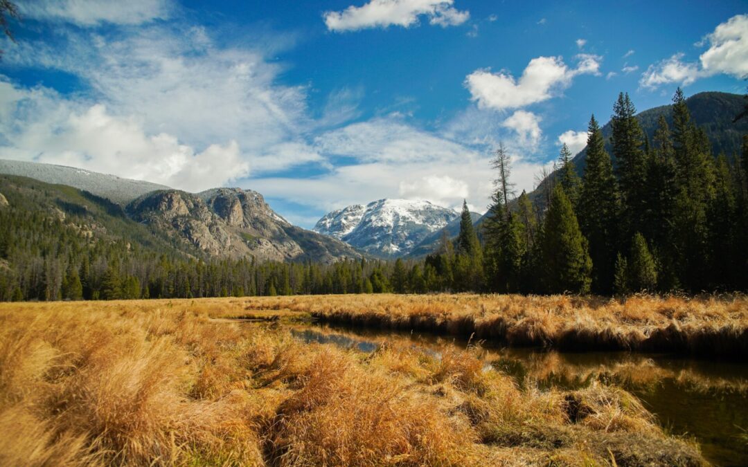 La montagne ça vous gagne