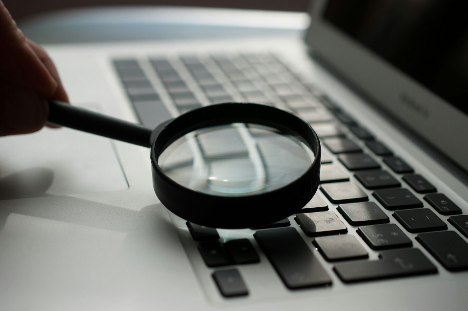 travail de recherche PC loupe. la plume qui lie